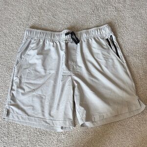 Light Gray Casual Shorts